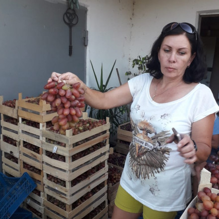 Елена Понамарева