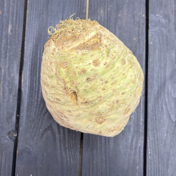 Корень сельдерея