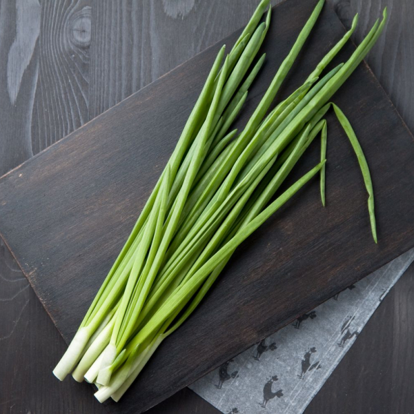 Лук зеленый