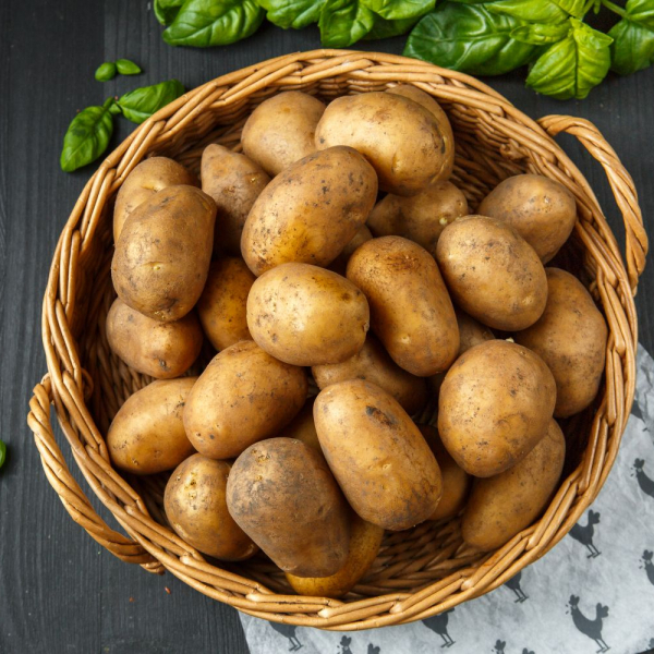 Картофель белый