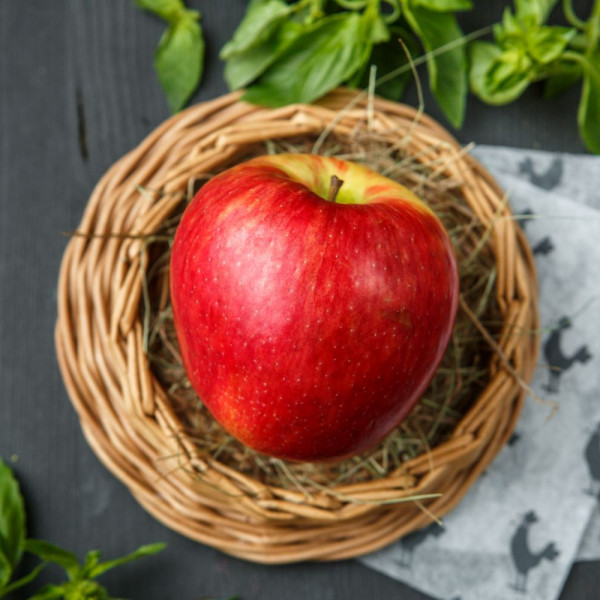 Яблоки Карамелька Яблоки Карамелька