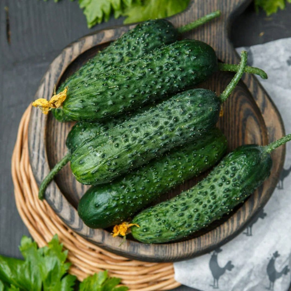 Огурцы корнишоны Огурцы корнишоны
