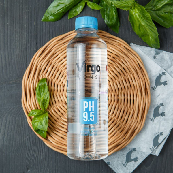 Вода природная Virgo fons щелочная негазированная Вода природная Virgo fons щелочная негазированная