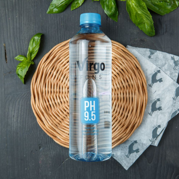 Вода природная Virgo fons щелочная негазированная Вода природная Virgo fons щелочная негазированная