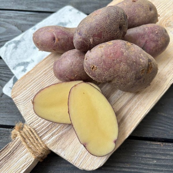 Картофель Цыганка