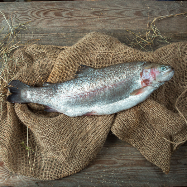Форель замороженная