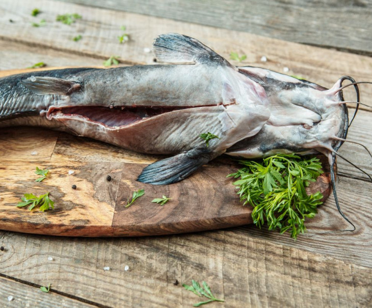 Мясо сома фото Мясо сома фото