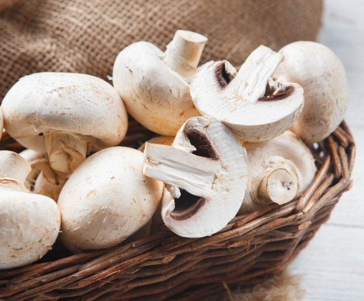 Грибы шампиньоны фото Грибы шампиньоны фото