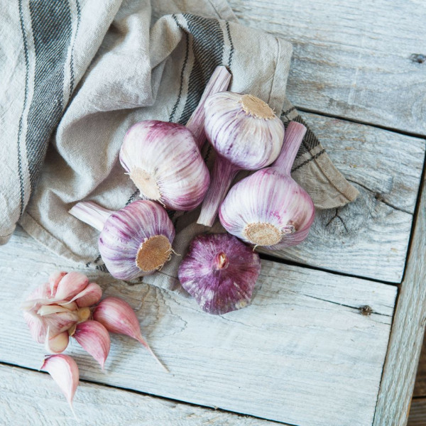 Чеснок