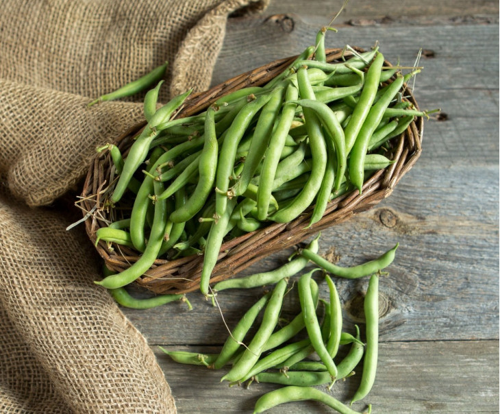 Зеленый стручковый фасоль фото Зеленый стручковый фасоль фото