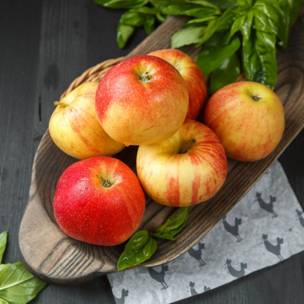 Яблоки Гала