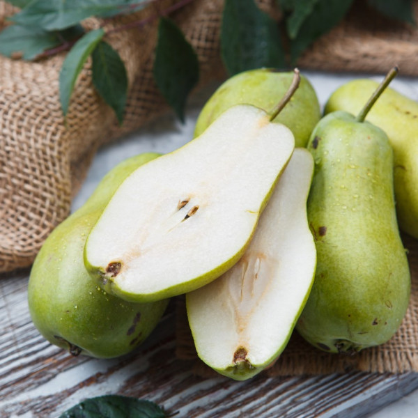 Груша Красавица