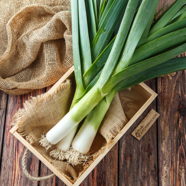 Лук - порей