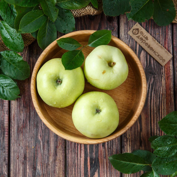 Яблоки Антоновка