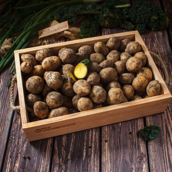 Картофель Бейби