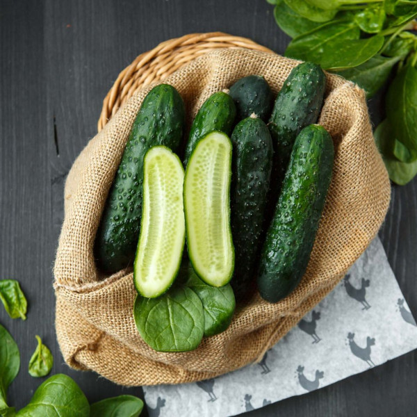 Огурцы с пупырышками