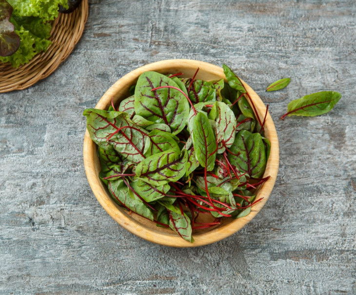 Микрозелень щавель фото Микрозелень щавель фото