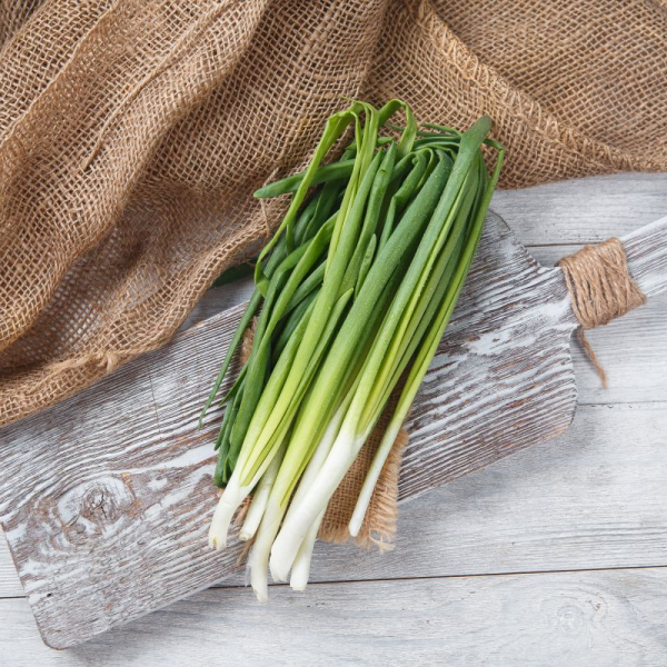 Лук зеленый