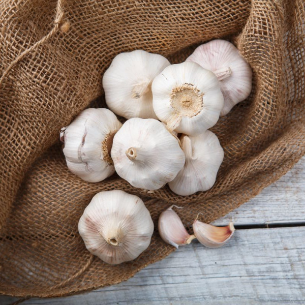 Чеснок