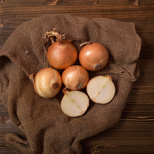 Лук репчатый